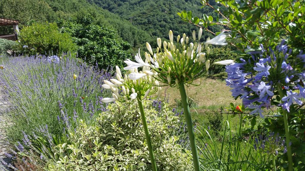 Agriturismo Gocce Di Luna เชลเล ลีกูเร ภายนอก รูปภาพ