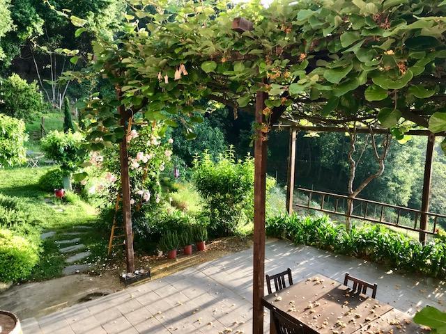 Agriturismo Gocce Di Luna เชลเล ลีกูเร ภายนอก รูปภาพ
